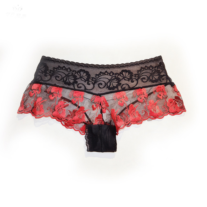 【1 Stück】Damenunterwäsche, ult – Embroidery Red Bewertung und Preis