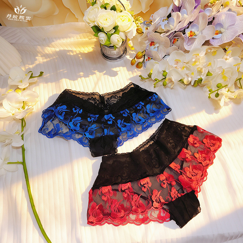【1 Stück】Damenunterwäsche, ult – Embroidery Red Bewertung und Preis